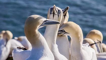 临沧高价上海医保提取2025的最新政策(2025年临沧上海医保怎么提取现金分享)