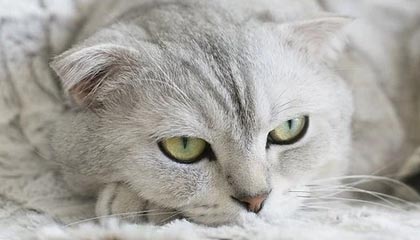 临沧24小时高价回收医保卡的最新政策(2025年临沧24小时高价回收医保卡电话分享)