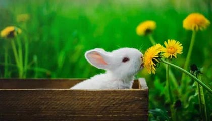 临沧高价上海医保提取2025的最新政策(2025年临沧上海医保怎么提取现金分享)